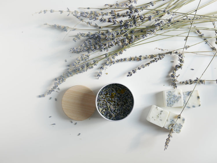 Fragmentos de Aroma