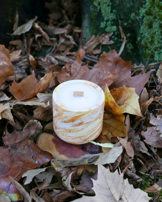 calabaza, canela
