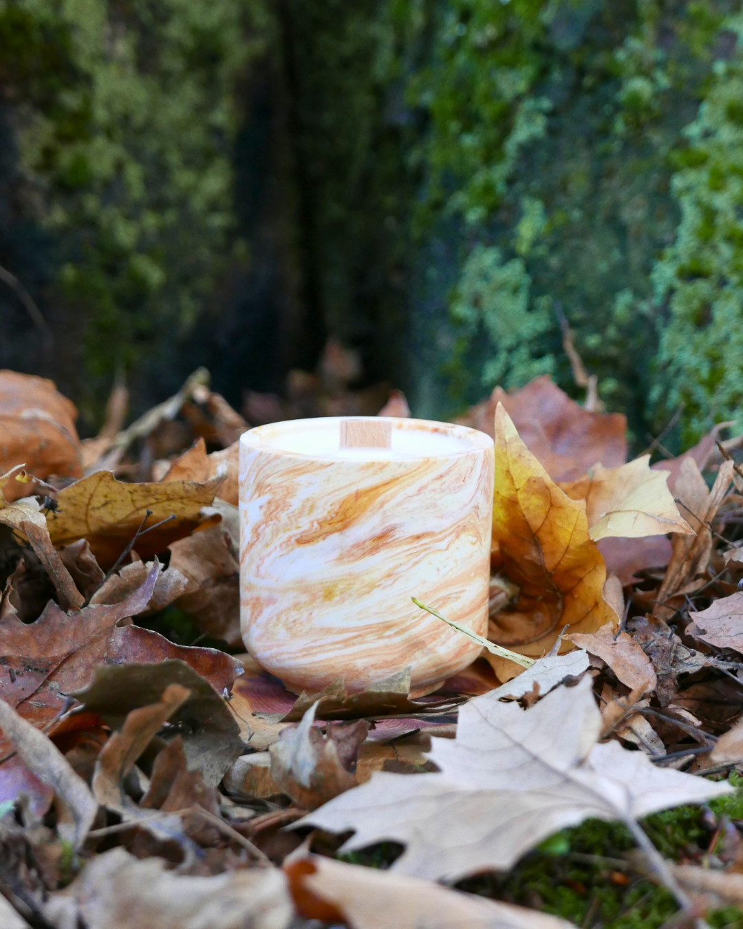 calabaza, canela 