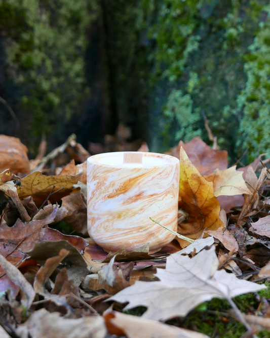 calabaza, canela 