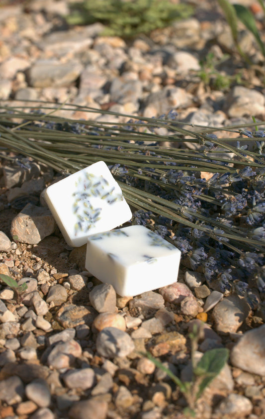 Fragmentos de Lavanda