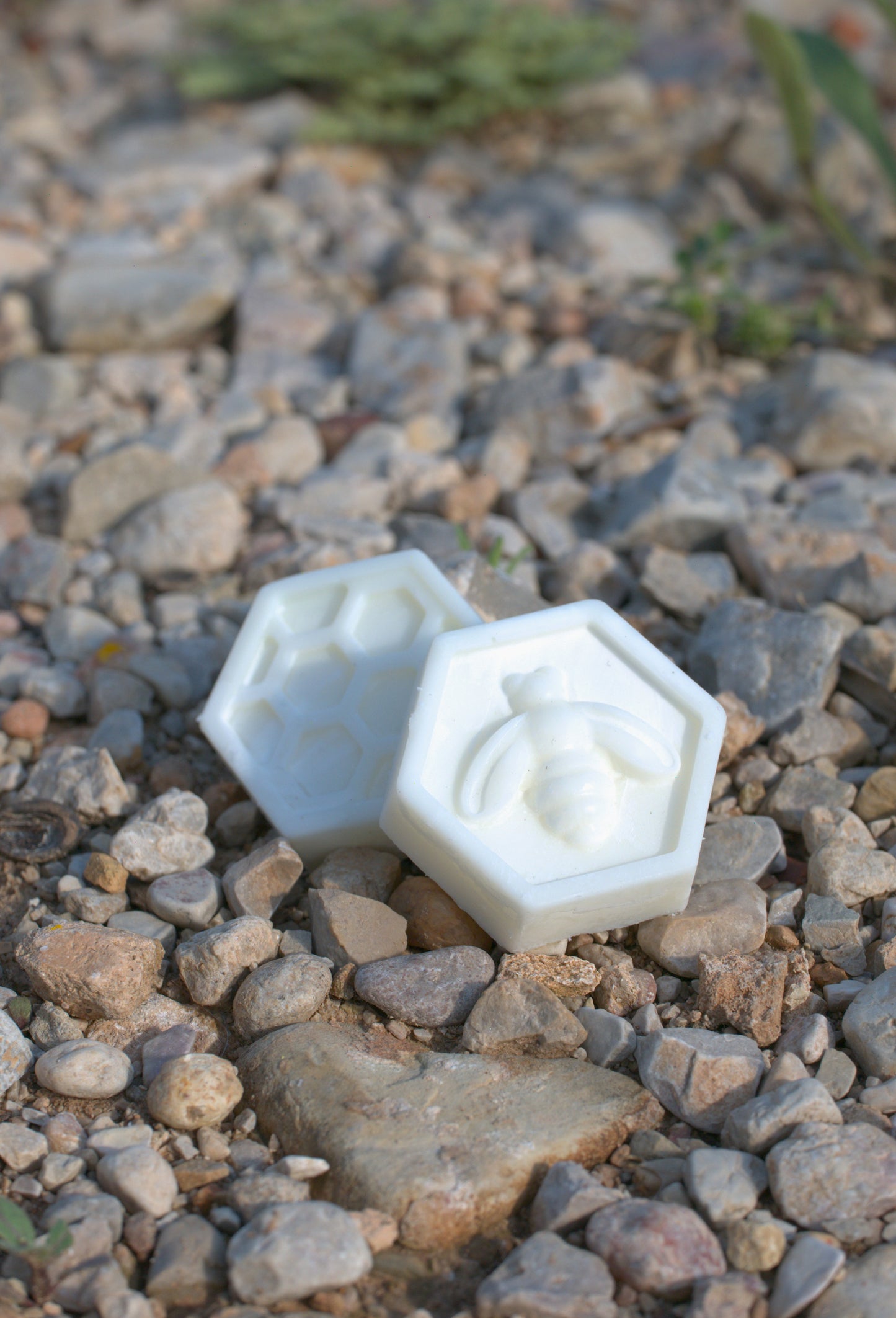 Fragmentos de Miel